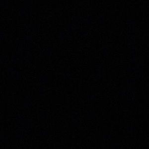 Meet your Posher, Tamia